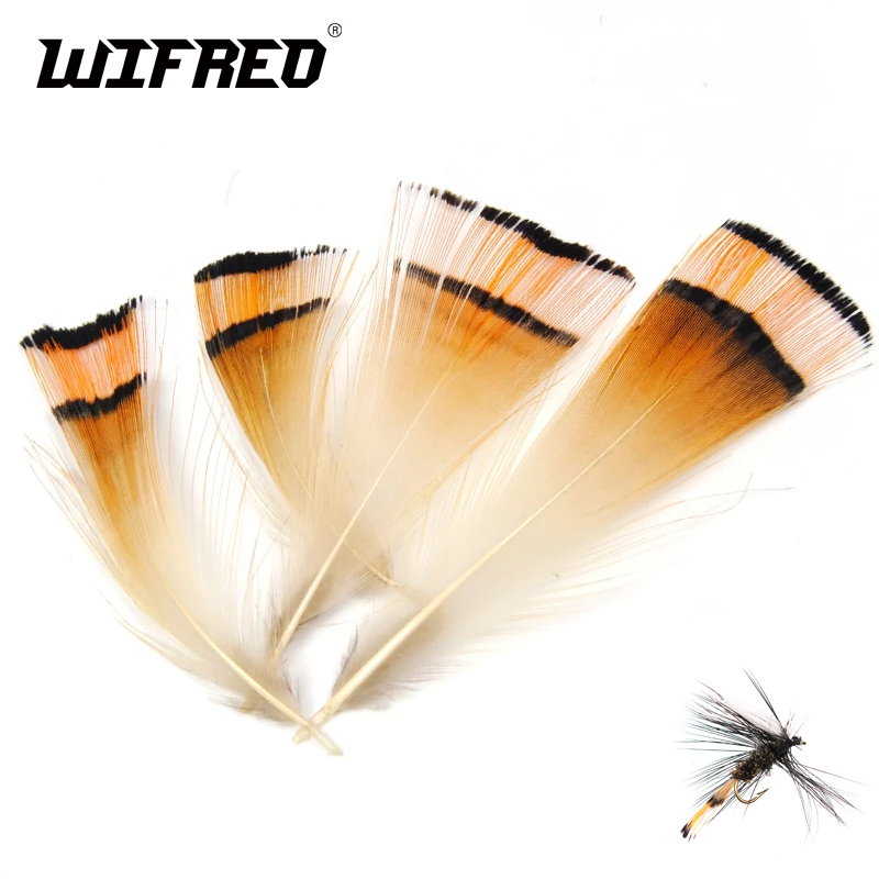 Fishing Equipment Brands - 50 Stuks Natuurlijke Kleur Gouden Fazant