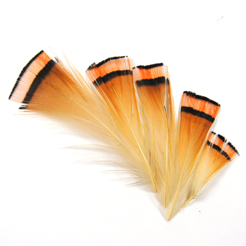 50 Stuks Natuurlijke Kleur Gou - Fishing Equipment Brands recensie en prijs